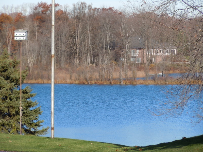 Bitten Lake Hartland Homes For Sale Twp Michigan